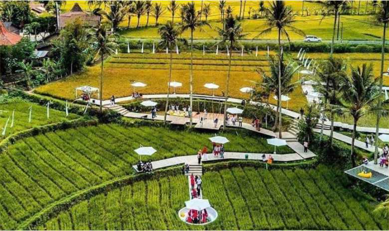 Svargabumi Borobudur Magelang, Wisata Tengah Sawah Yang Instagramable