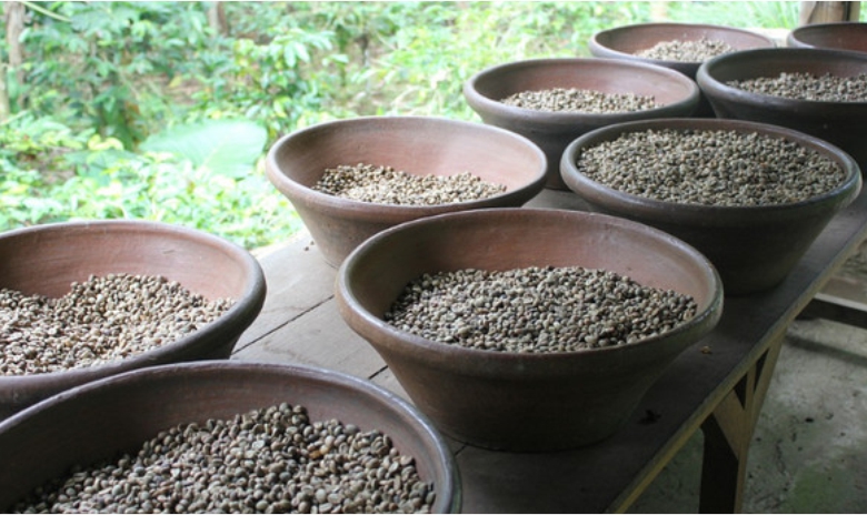 Kopi Muria Kudus