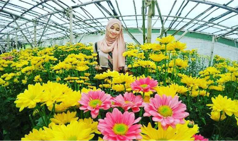 Setiya Aji Flower Farm