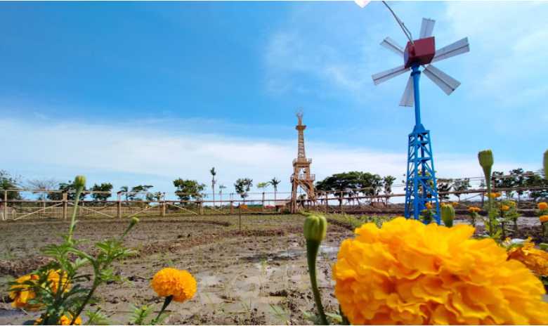 Kawista Emji Cilacap, Simfoni Wisata Edukasi di Tengah Sawah