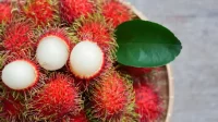 Perbedaan Ace dan Rambutan