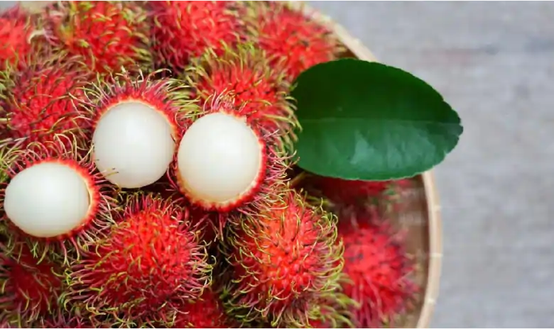 Apa Perbedaan Ace dan Rambutan?